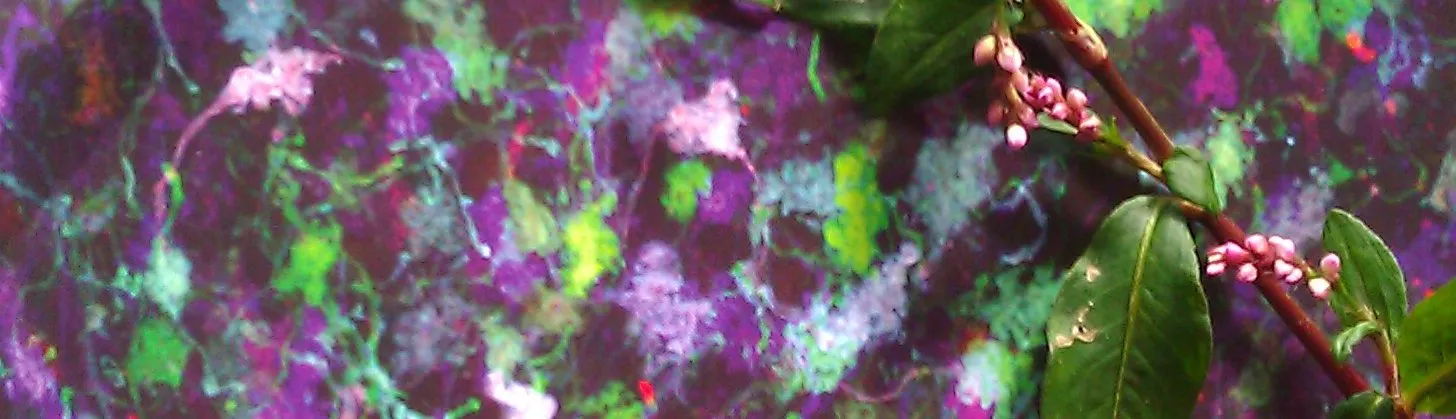 A flowering stem and an autumn leaf laid over a stained section of brain tissue.