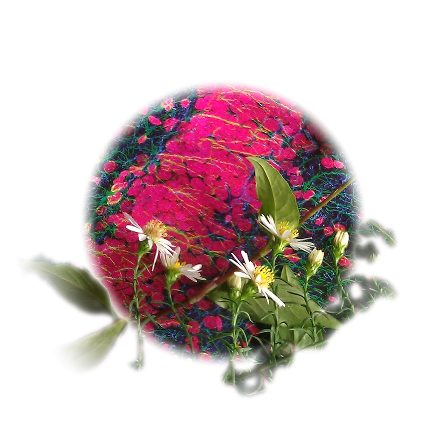 White daisies and green leaves laid over a brain section stained magenta and green.