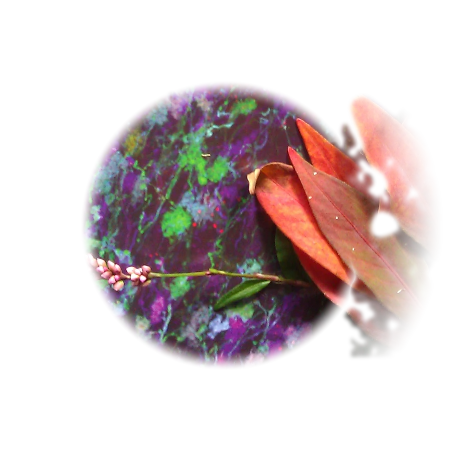 Copper-red autumn leaves laid over a brain section stained purple and green.