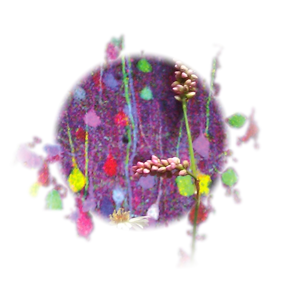 A pink seed head and a white daisy laid over a brain section stained violet and flecked with colour.