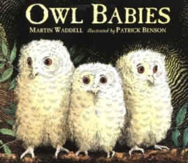 owl-babies